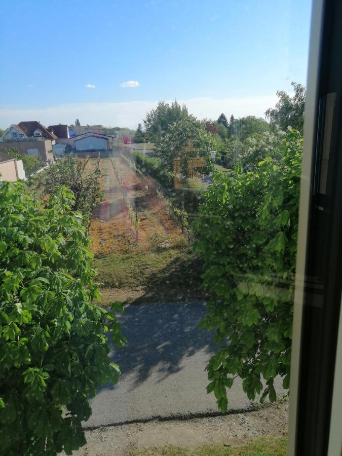 Campingblick-Gaestehaus-Ferienwohnungen Podersdorf am See Esterno foto